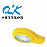 供应防防爆道路灯 BLC8610 